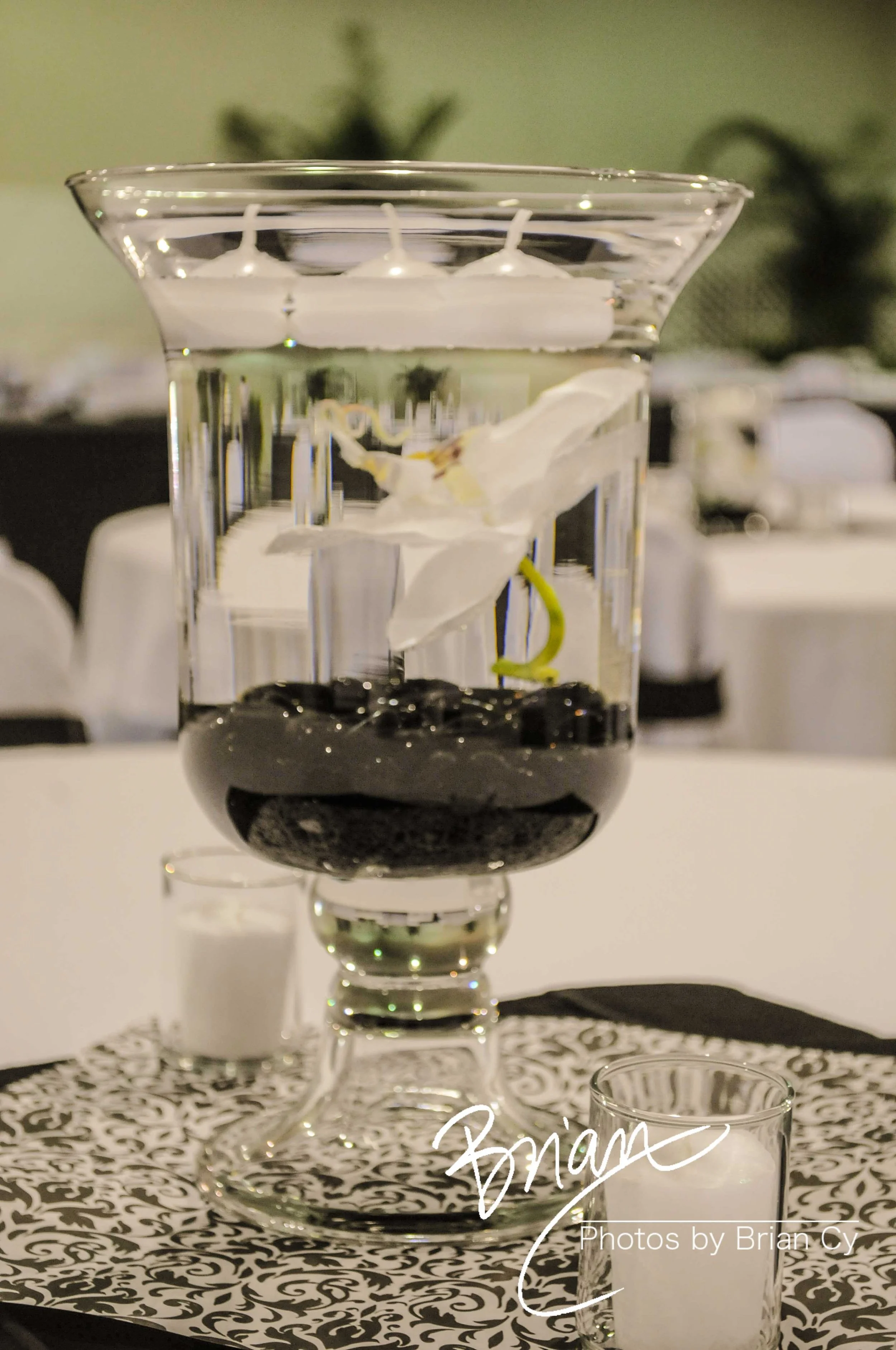 LoRes_WM_20100410_Travis_Wedding_Edit-3787.jpg
