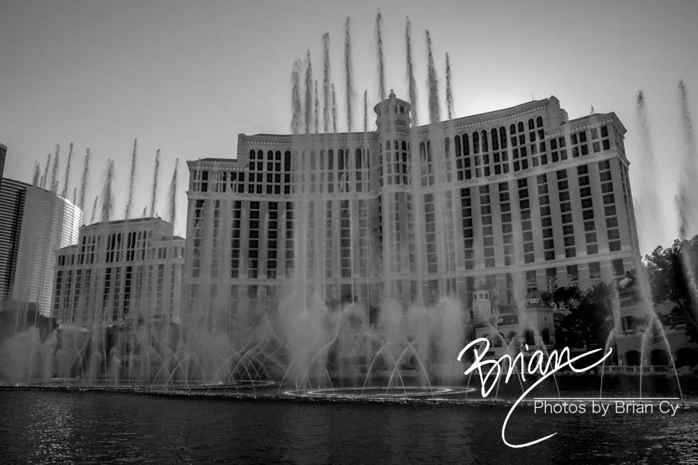 LoRes_WM_20190424_LasVegas_Edit-8942.jpg