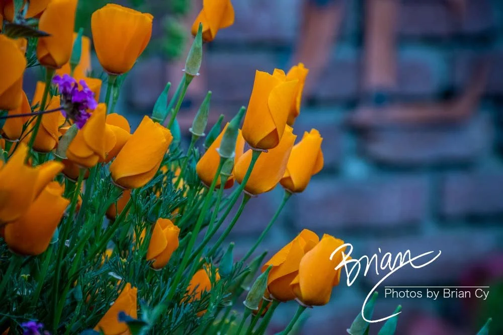 LoRes_WM_20190420_LosAngeles_Edit-1568.jpg