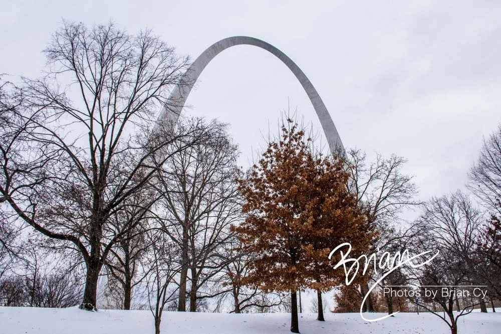 LoRes_WM_20250106_StLouis_Edit-7051.jpg