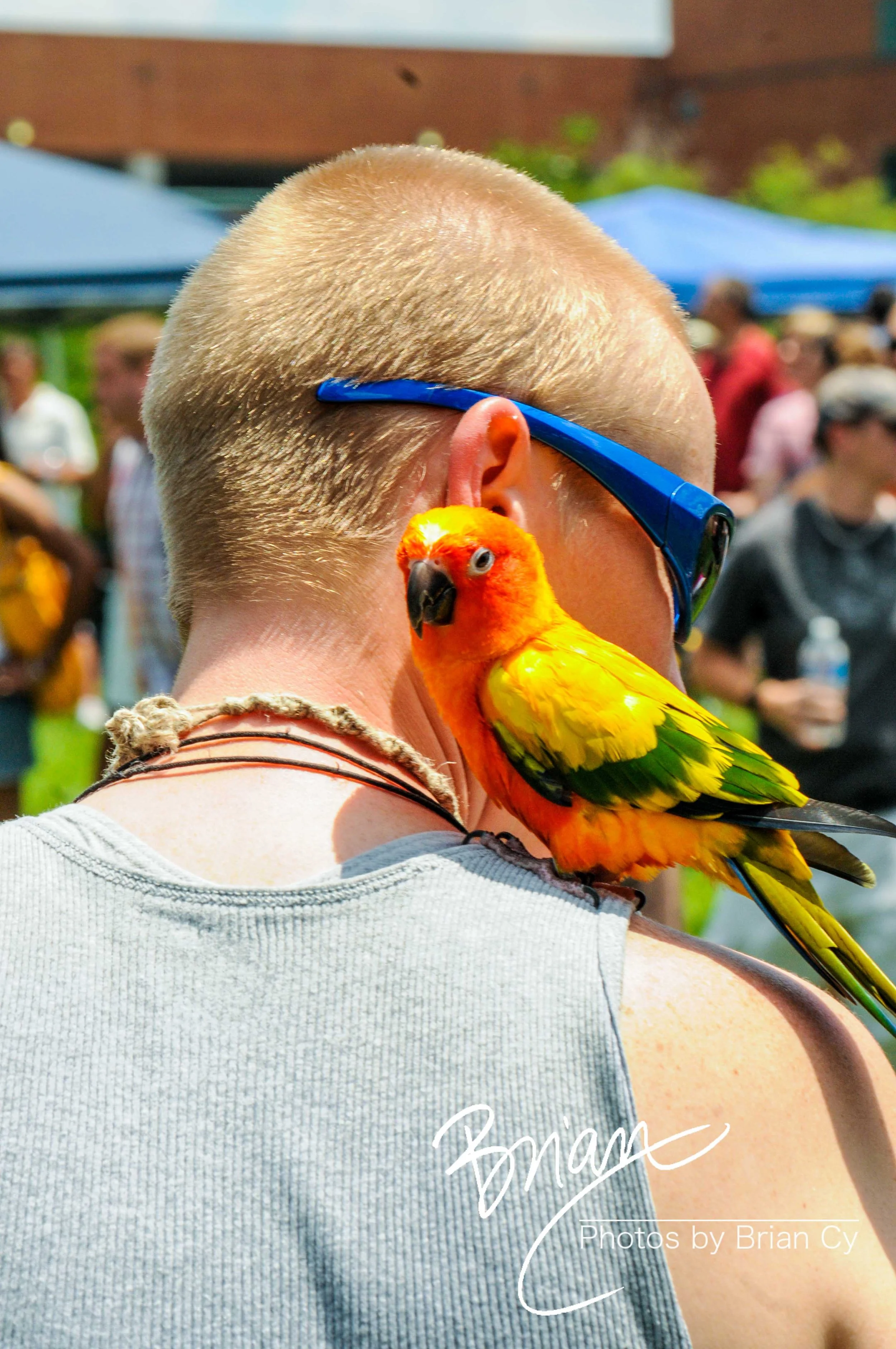 LoRes_WM_20100605_Triad_Pride_Edit-1636.jpg