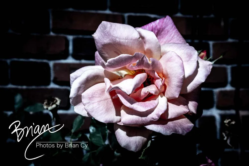 LoRes_WM_20191019_Reno_Edit-9672.jpg