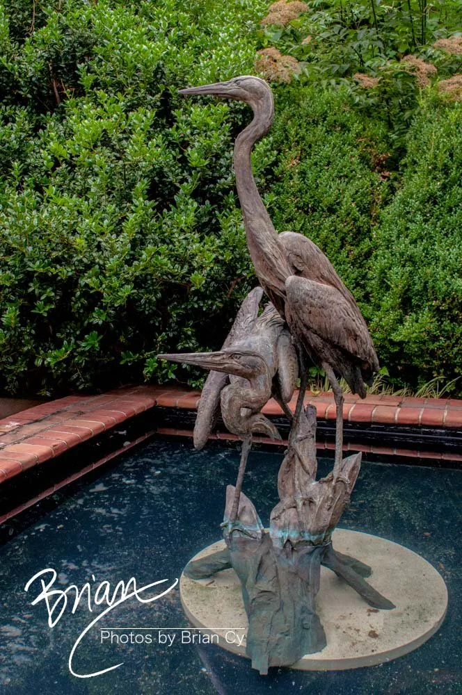 LoRes_WM_20180620_Memphis_Botanical_Gardens_Edit-0327.jpg