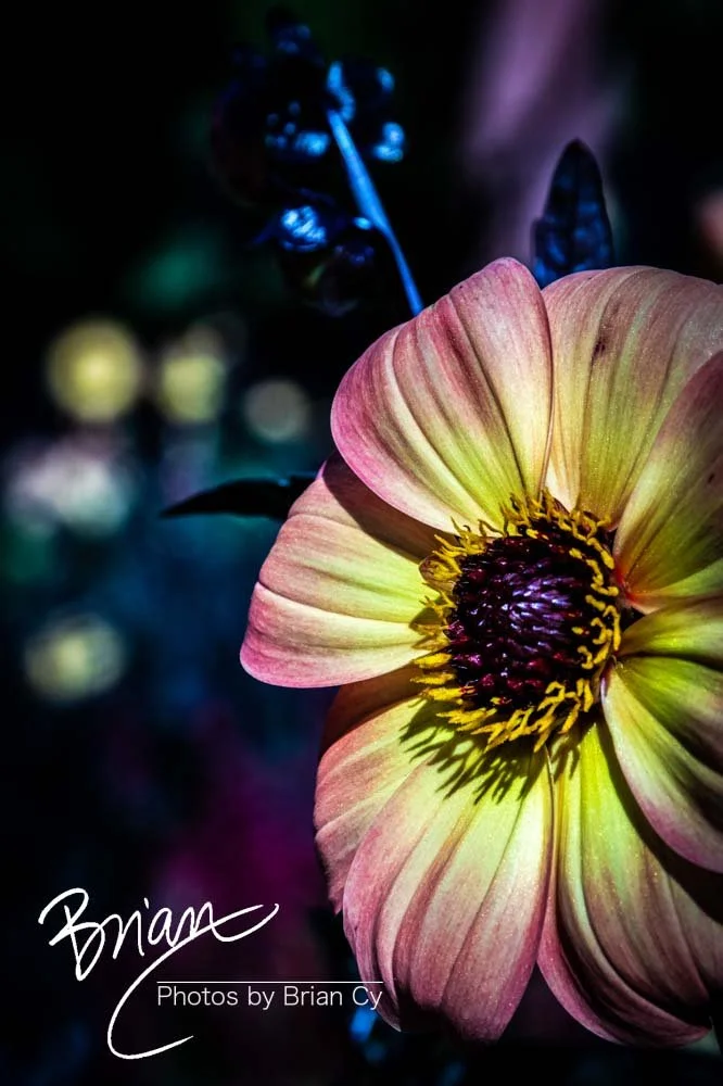 LoRes_WM_20190817_Atlanta_Edit-7054.jpg