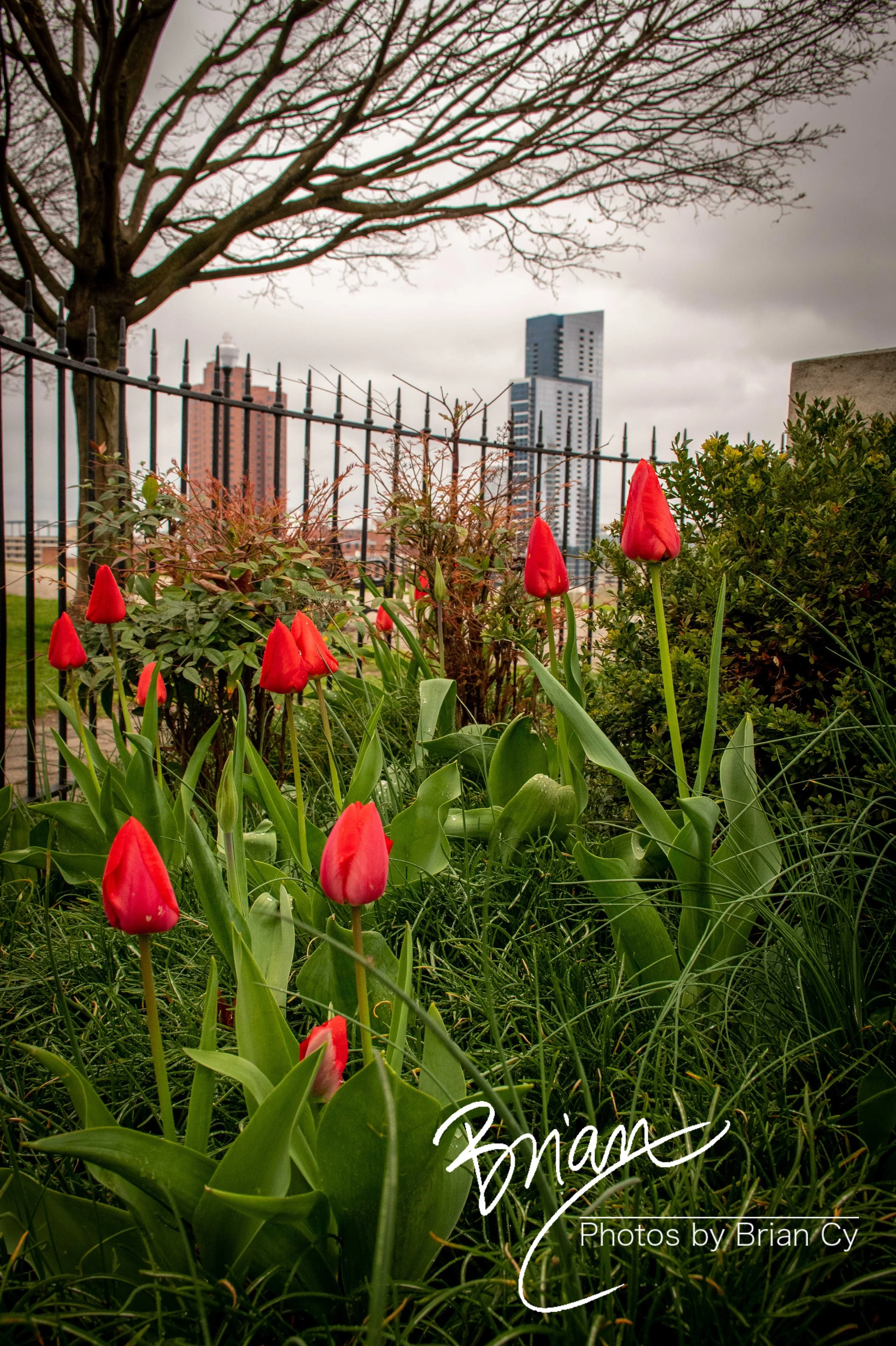 LoRes_WM_20210409_Baltimore_Edit-6550.jpg