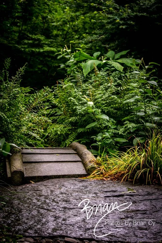 LoRes_WM_20180620_Memphis_Botanical_GardensA_Edit-0280.jpg
