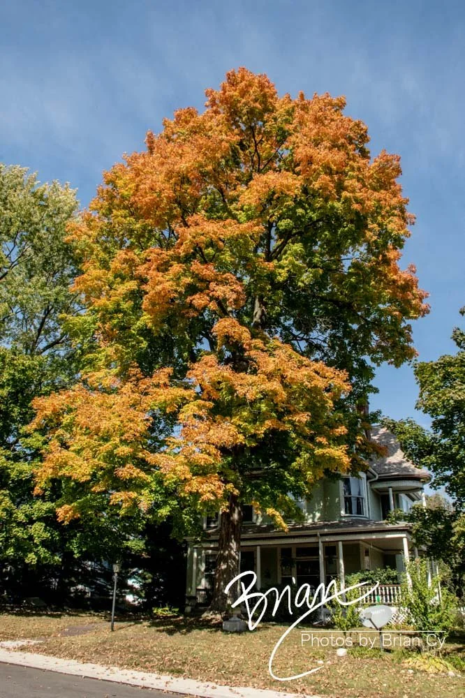 LoRes_WM_20241011_Davenport_Edit-8459.jpg