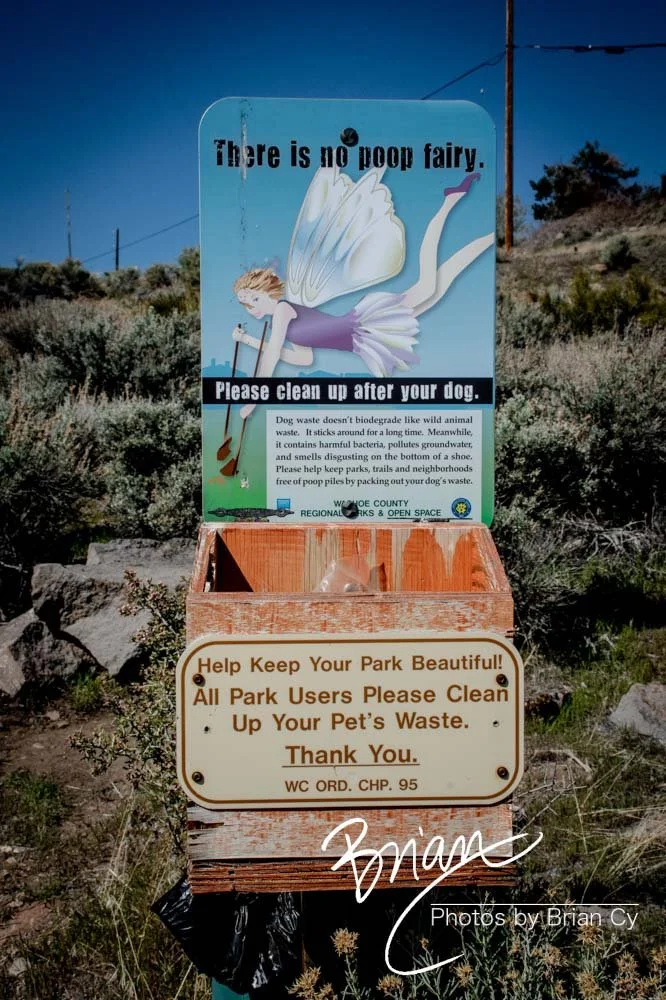 LoRes_WM_20200415_Reno_Edit-1131.jpg