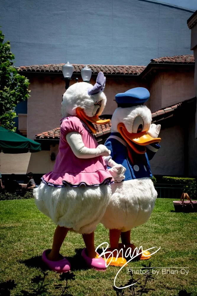 LoRes_WM_20230702_TheFam_Disney_Edit-5647.jpg