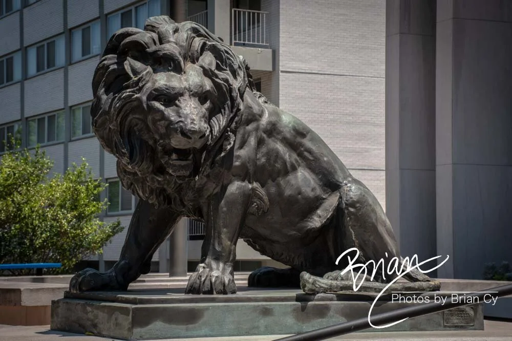 LoRes_WM_20190529_Columbia_Edit-4613.jpg