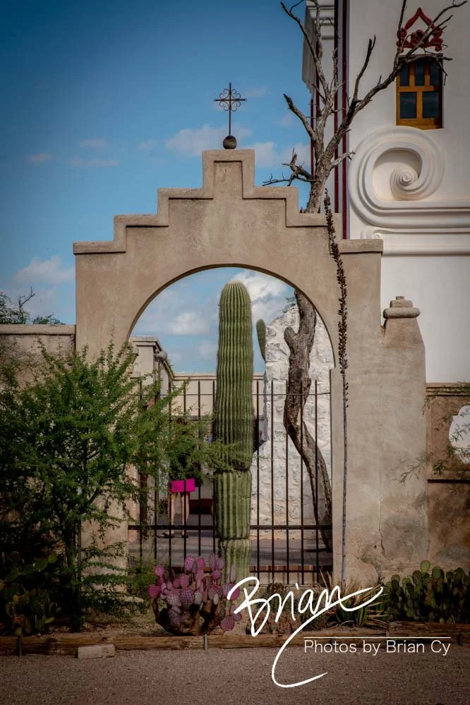 LoRes_WM_20191110_Tucson_Edit-3989.jpg