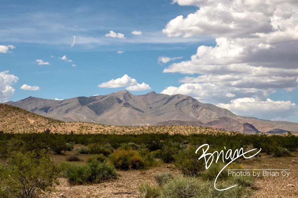 LoRes_WM_20190425_Goodsprings_Edit-0793.jpg