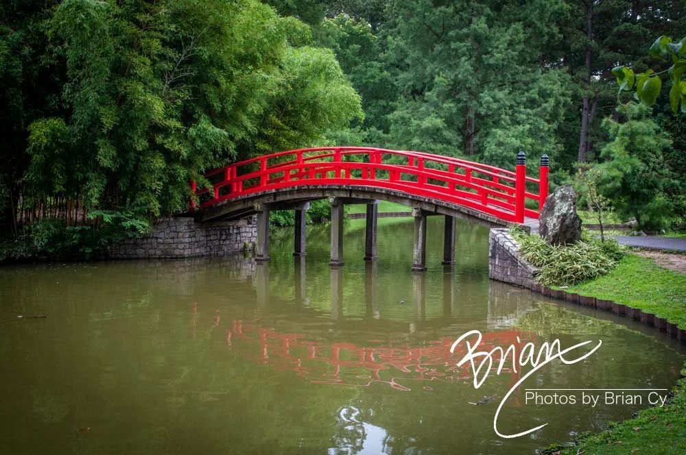LoRes_WM_20180620_Memphis_Botanical_Gardens_Edit-0037.jpg