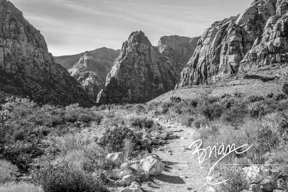 LoRes_WM_20191113_RedRockCanyon_Edit-9365.jpg