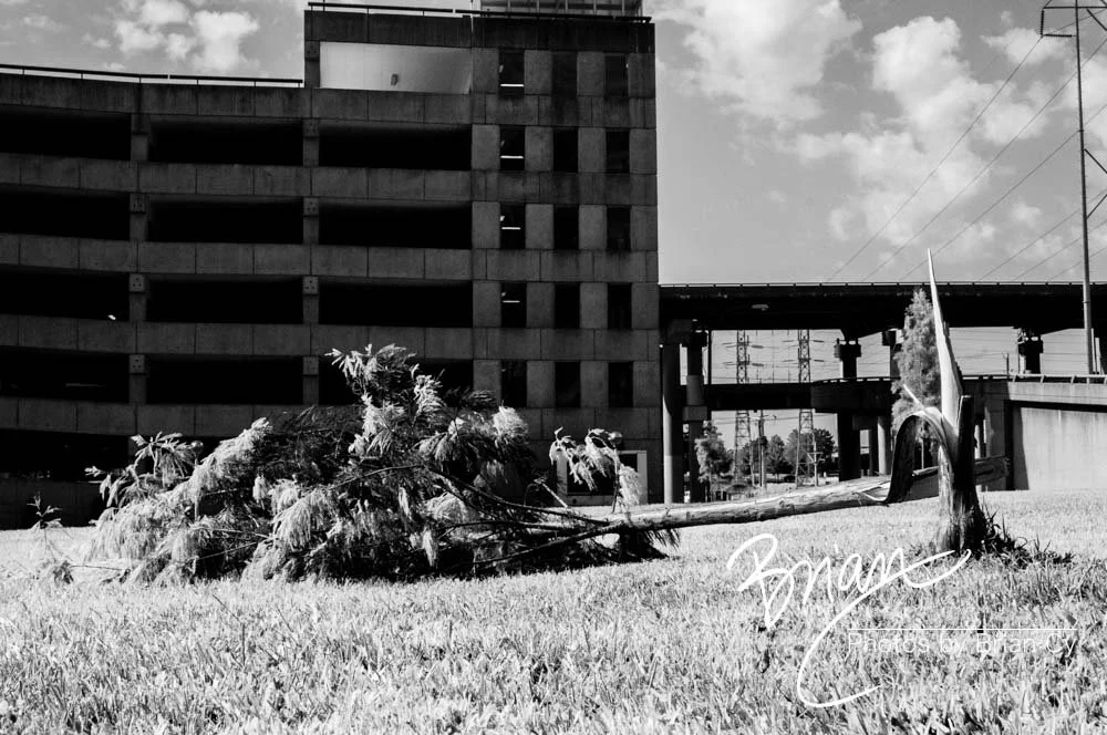 LoRes_WM_20170910_SaintLouis_Edit-3076.jpg
