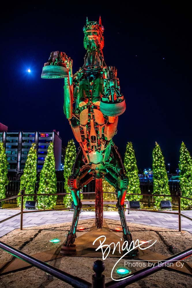LoRes_WM_20200708_Reno_Edit-6824.jpg