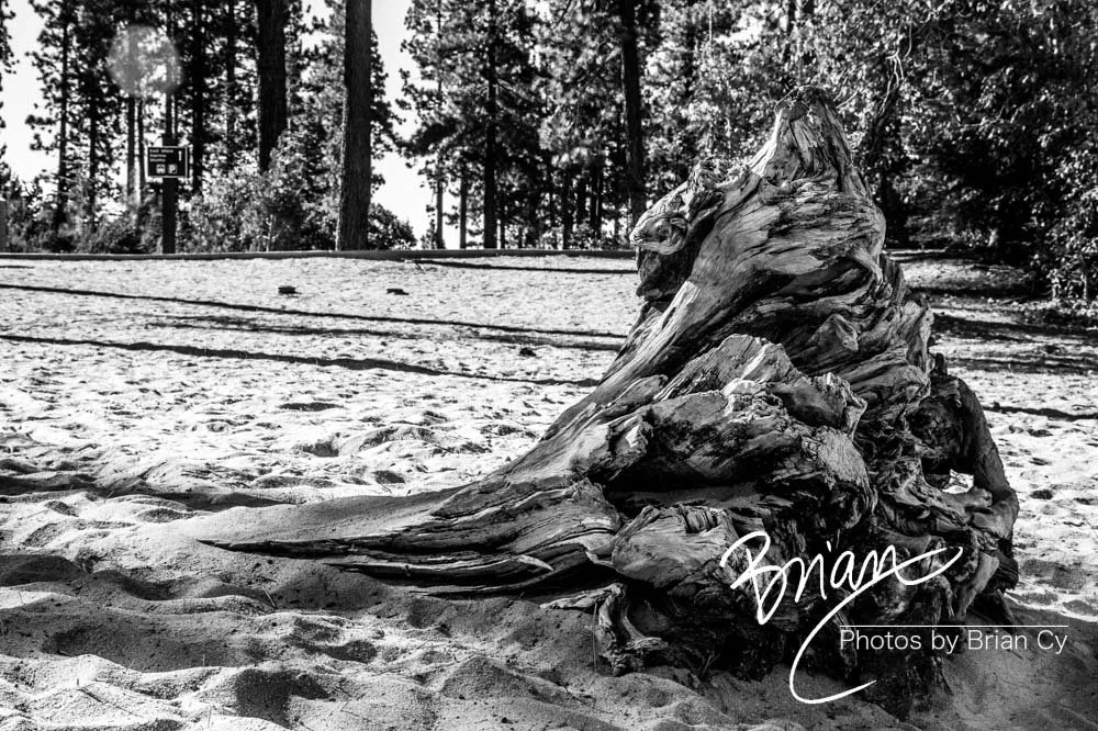 LoRes_WM_20201014_Tahoe_Edit-0784.jpg