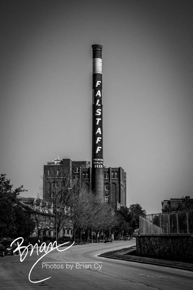 LoRes_WM_20240414_StLouis_Edit-5113.jpg