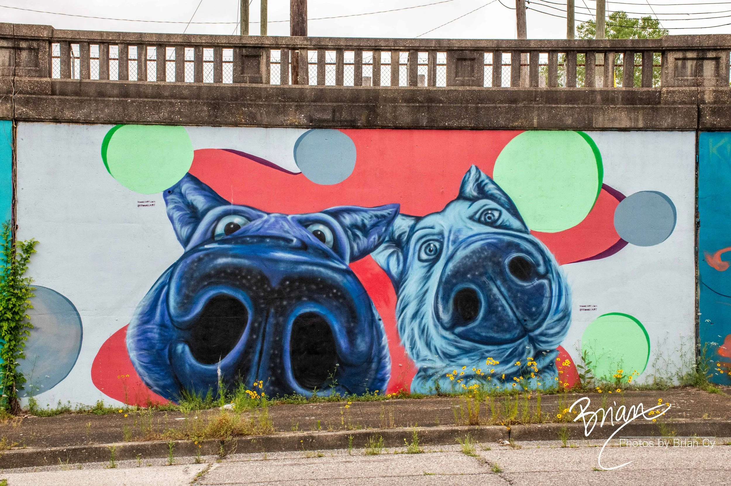 LoRes_WM_20260525_Memphis_Edit-0812.jpg