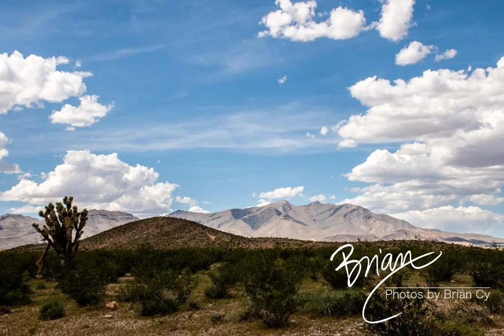 LoRes_WM_20190425_Goodsprings_Edit-0865.jpg
