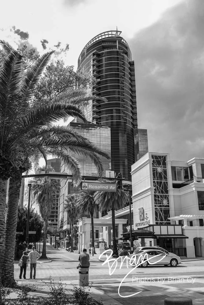 LoRes_WM_20090321_Orlando_Edit-0101.jpg