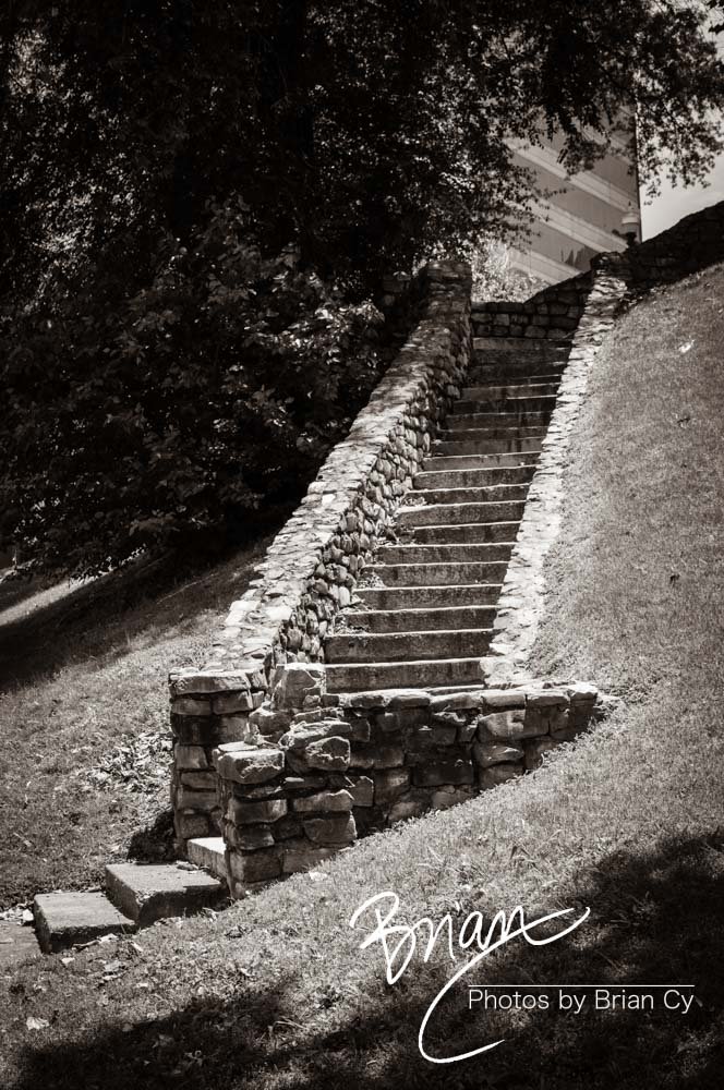 LoRes_WM_20150523_Memphis_Edit-8546.jpg