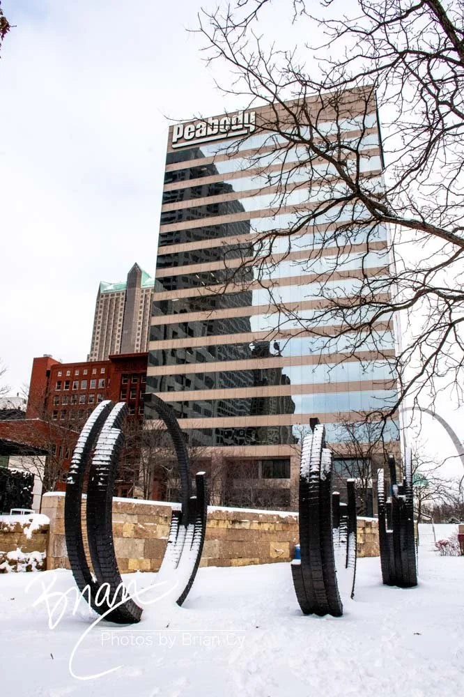 LoRes_WM_20250106_StLouis_Edit-6699.jpg