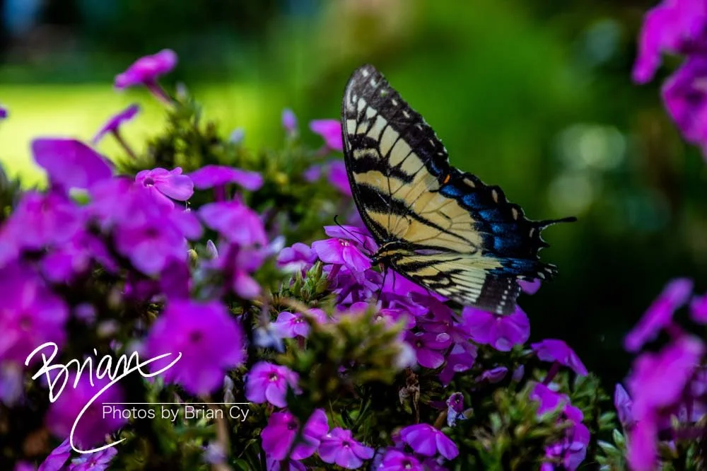 LoRes_WM_20190817_Atlanta_Edit-7377.jpg