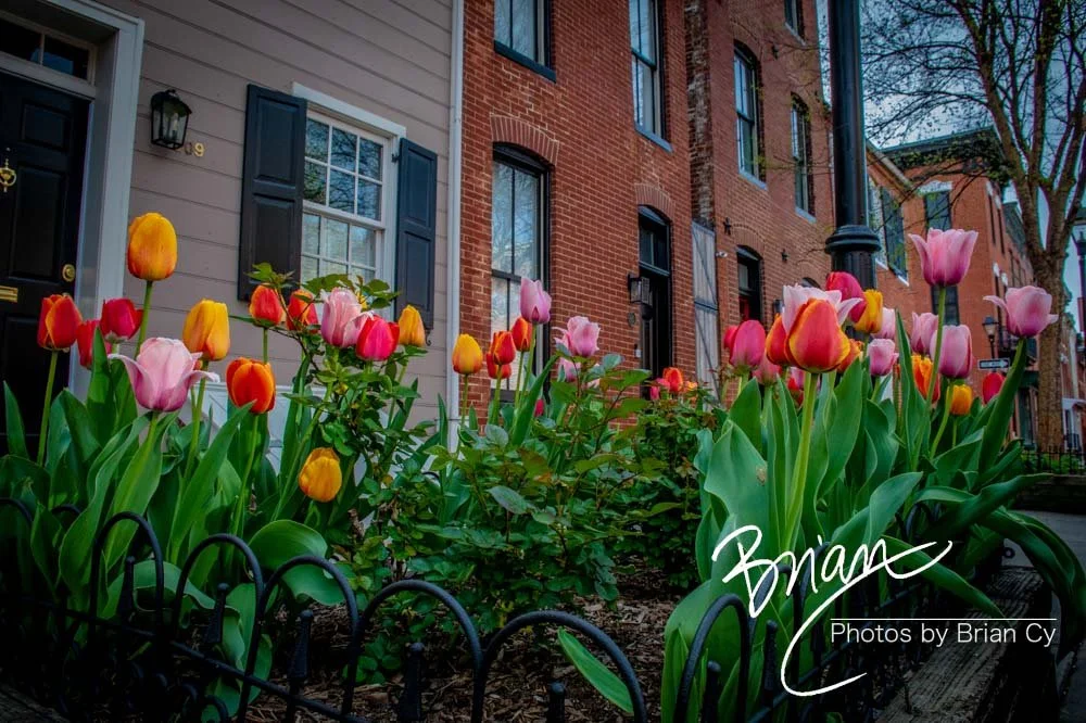 LoRes_WM_20220416_Baltimore_Edit-3638.jpg