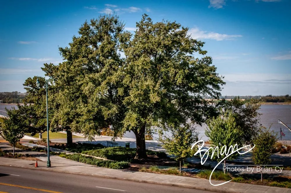 LoRes_WM_20171021_Memphis_Edit-5206.jpg
