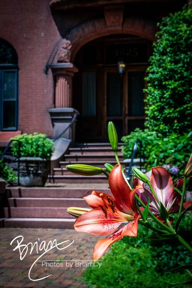 LoRes_WM_20240526_StLouis_Edit-9049.jpg