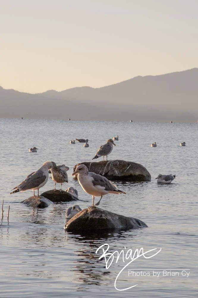 LoRes_WM_20201014_Tahoe_Edit-9960.jpg