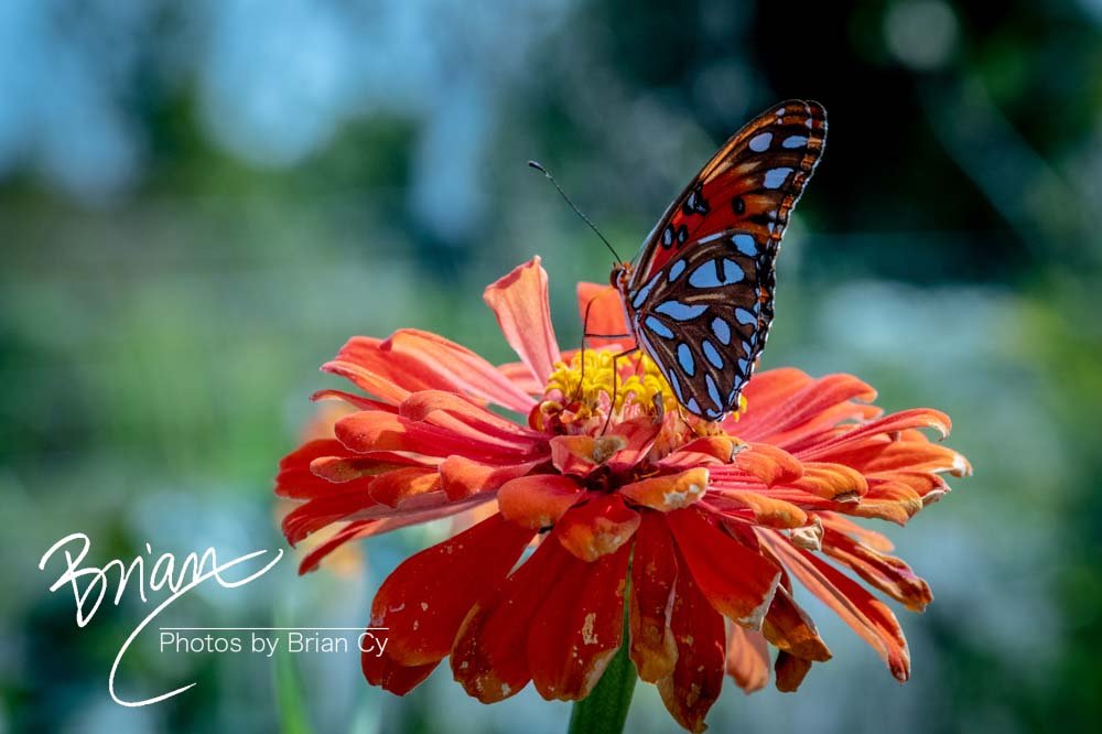 LoRes_WM_20190914_Memphis_Edit-8111.jpg