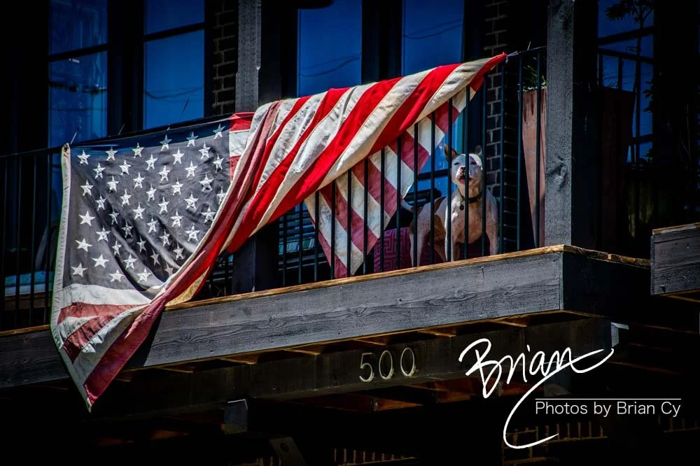 Decatur, Georgia (May 2019)