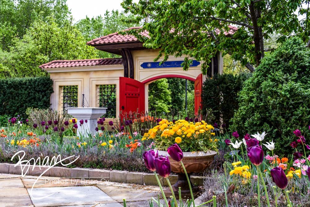LoRes_WM_20180504_Missouri_Botanical_Edit-0058.jpg