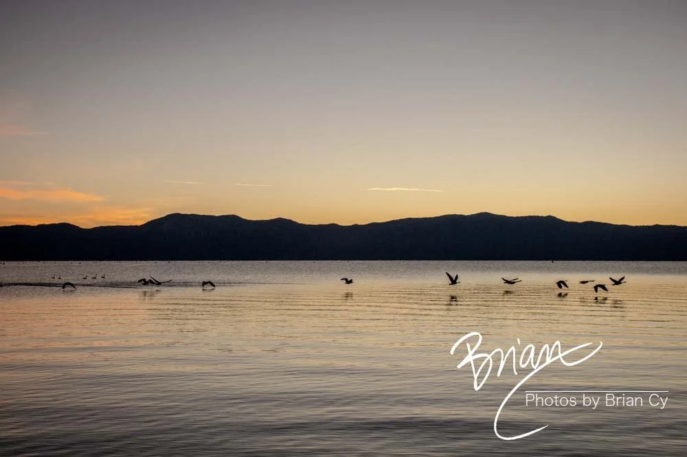 LoRes_WM_20201014_Tahoe_Edit-9240.jpg