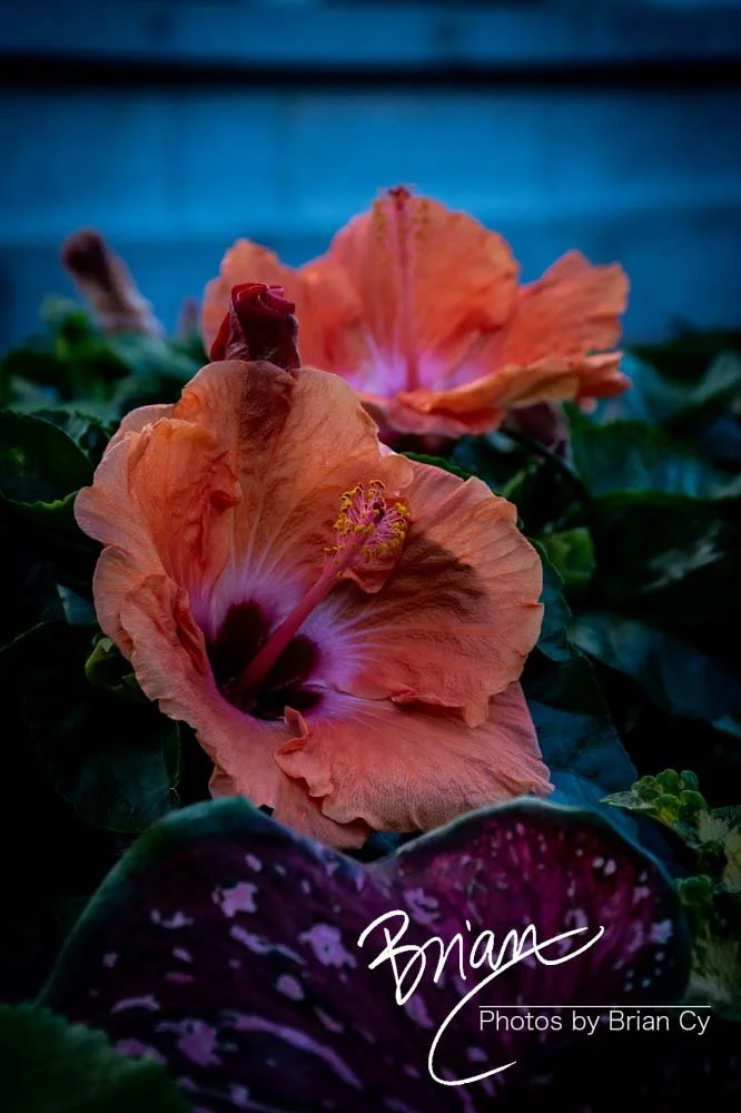 LoRes_WM_20191106_Houston_Edit-8866.jpg