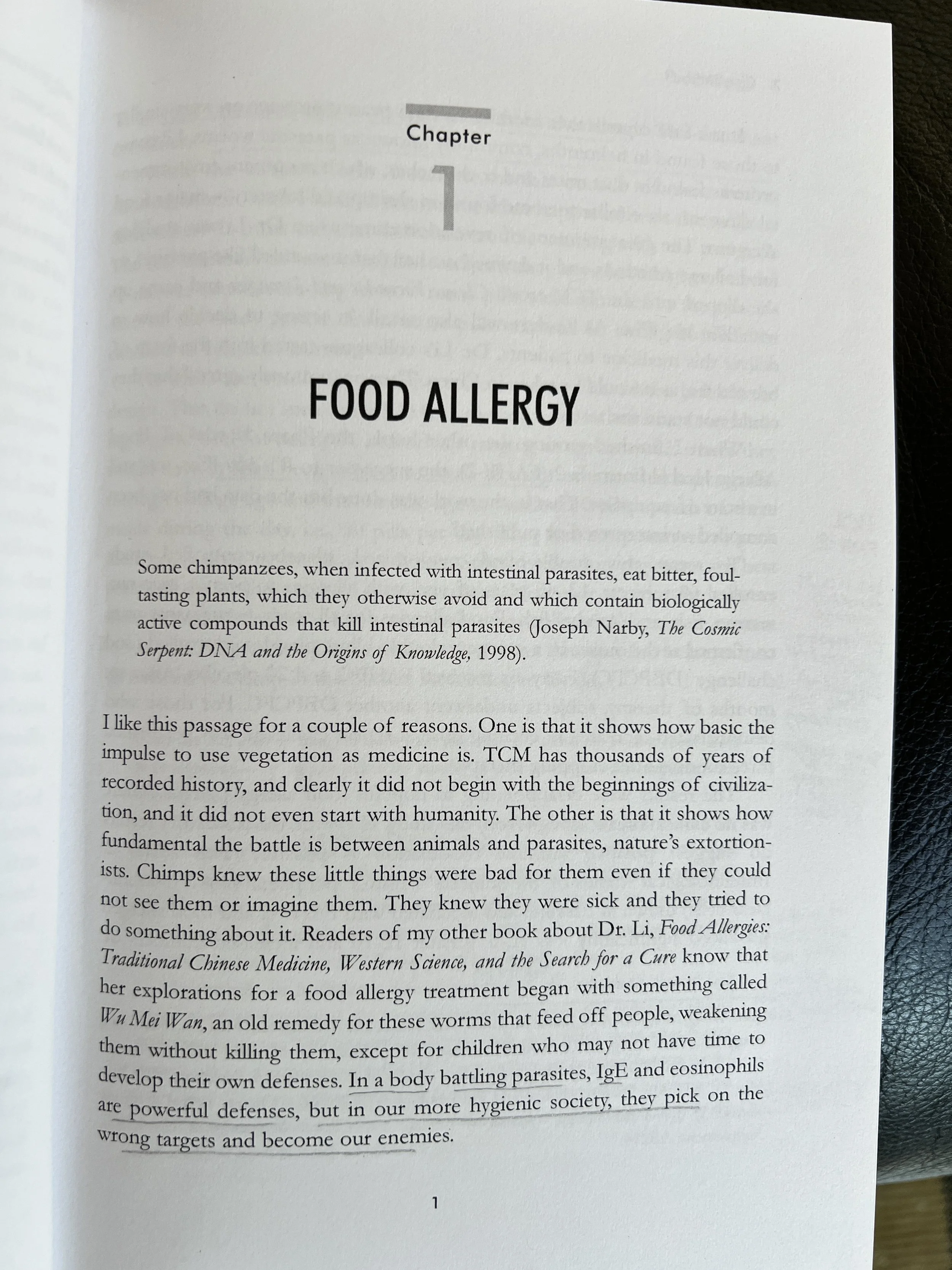 Original: Opening Chapter Page