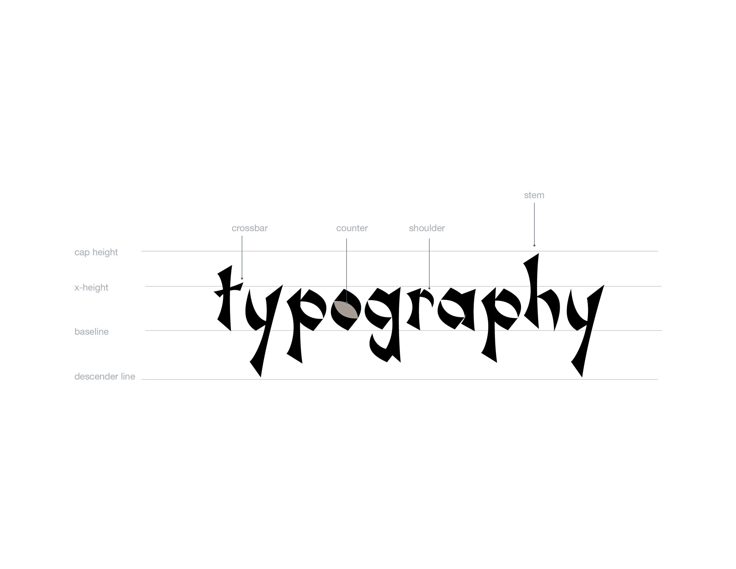 Type anatomy