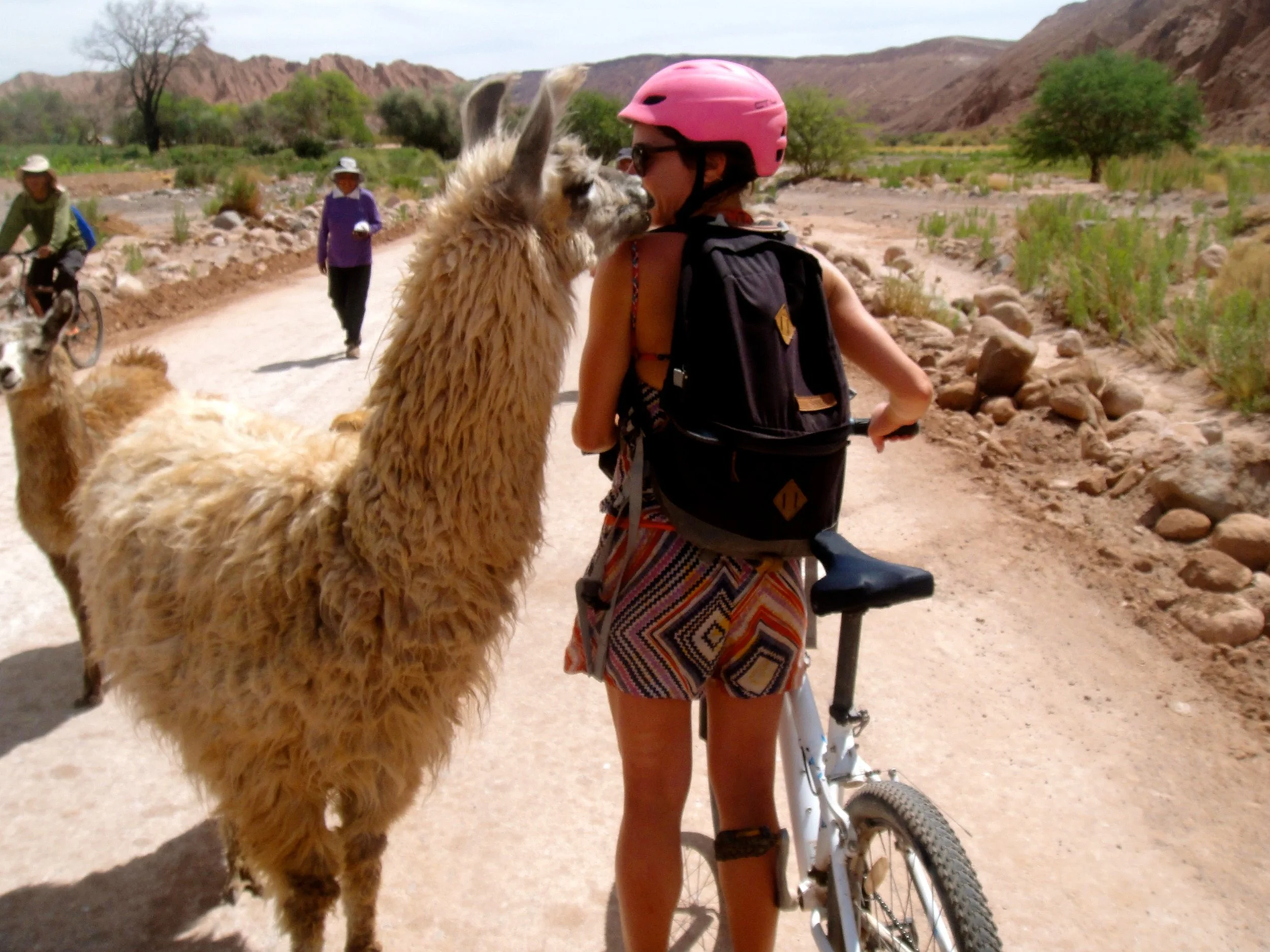 Rita Arslan during a cycling retreat, wearing a helmet and standing next to a llama in a natural landscape