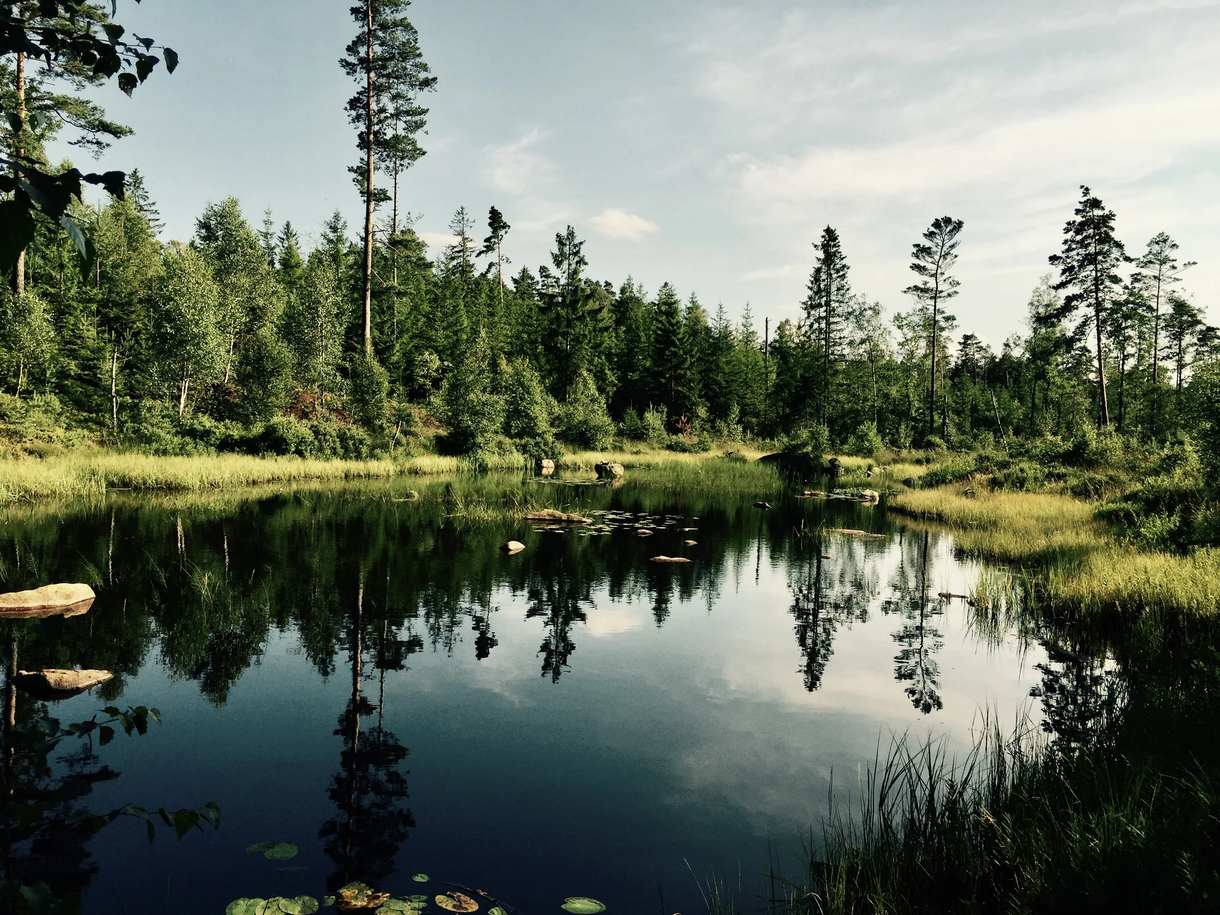 A tranquil river surrounded by lush green trees, with reflections on the water surface and a partly cloudy sky.
