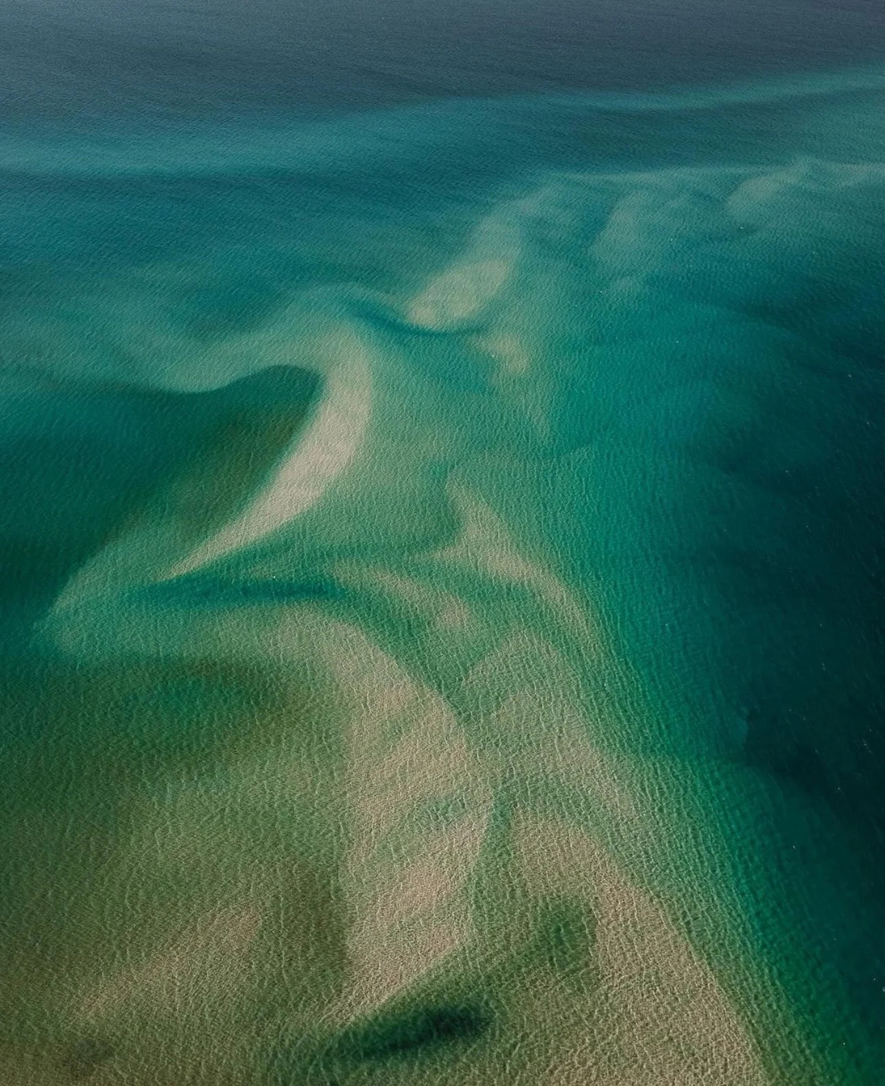 Aerial view of a whale beneath the surface of the water