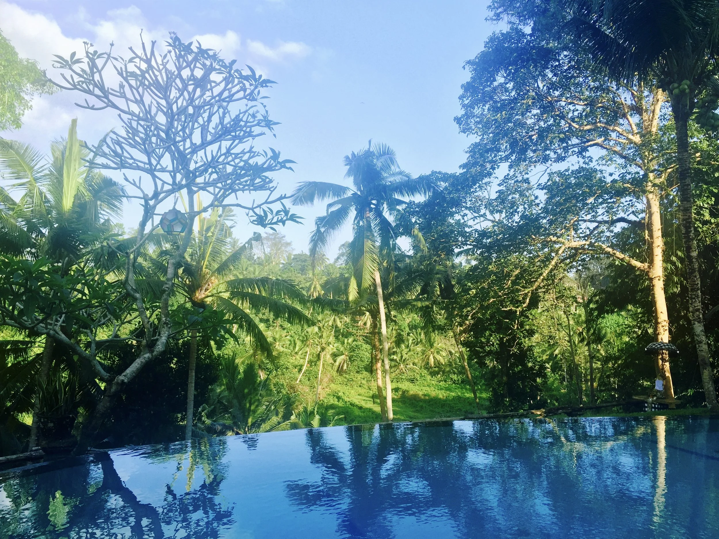 A lush tropical landscape with various green trees, including palms, surrounding a reflective swimming pool. The sky is partly cloudy and a person with an umbrella sits on a bench on the right side.