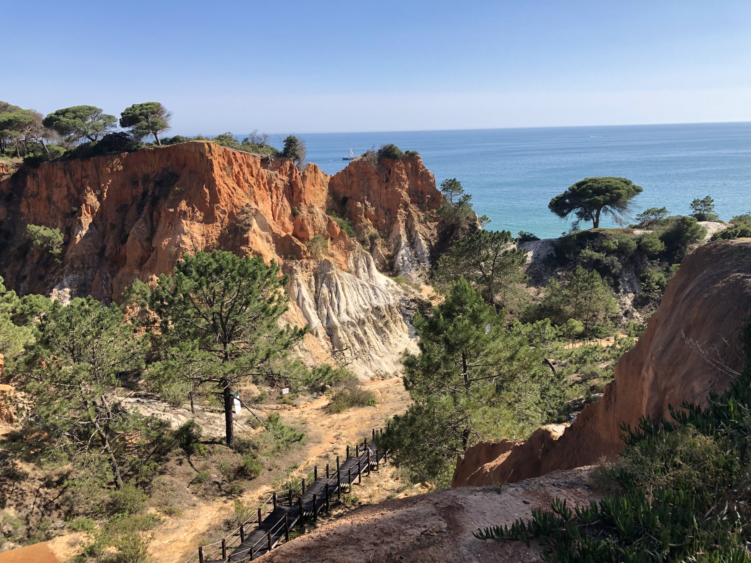 Cliffs overlooking the ocean, with green trees and a walking path in the foreground.