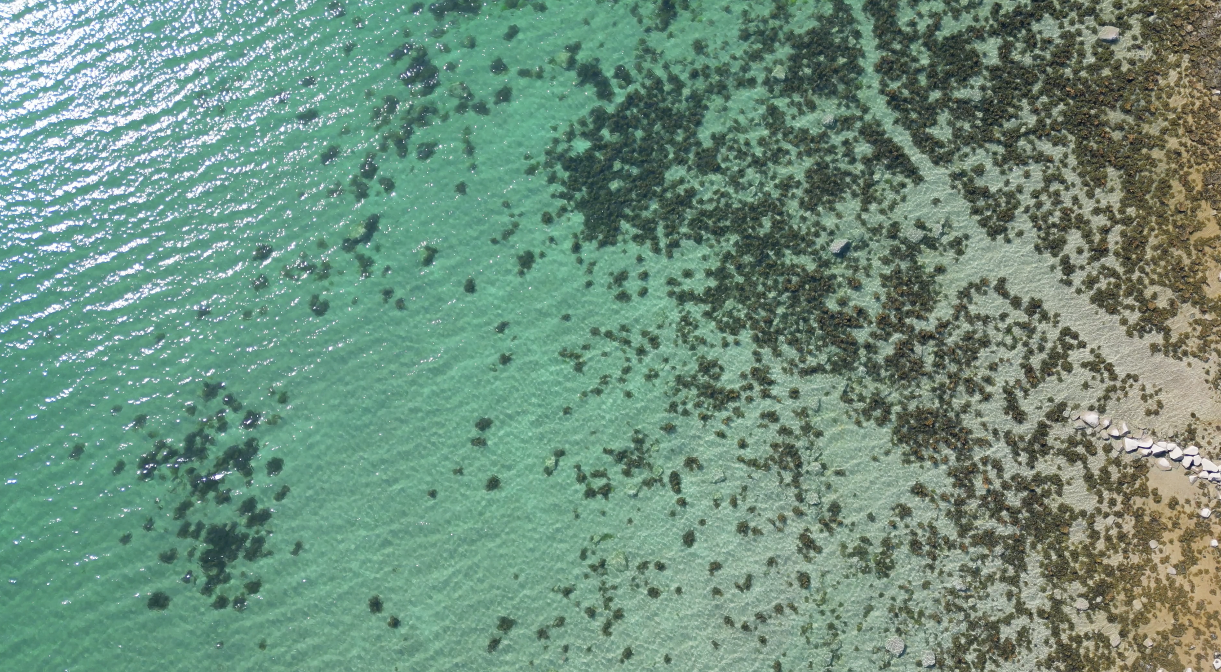 Bildschirmfoto 2025-12-26 um 12.38.52.png