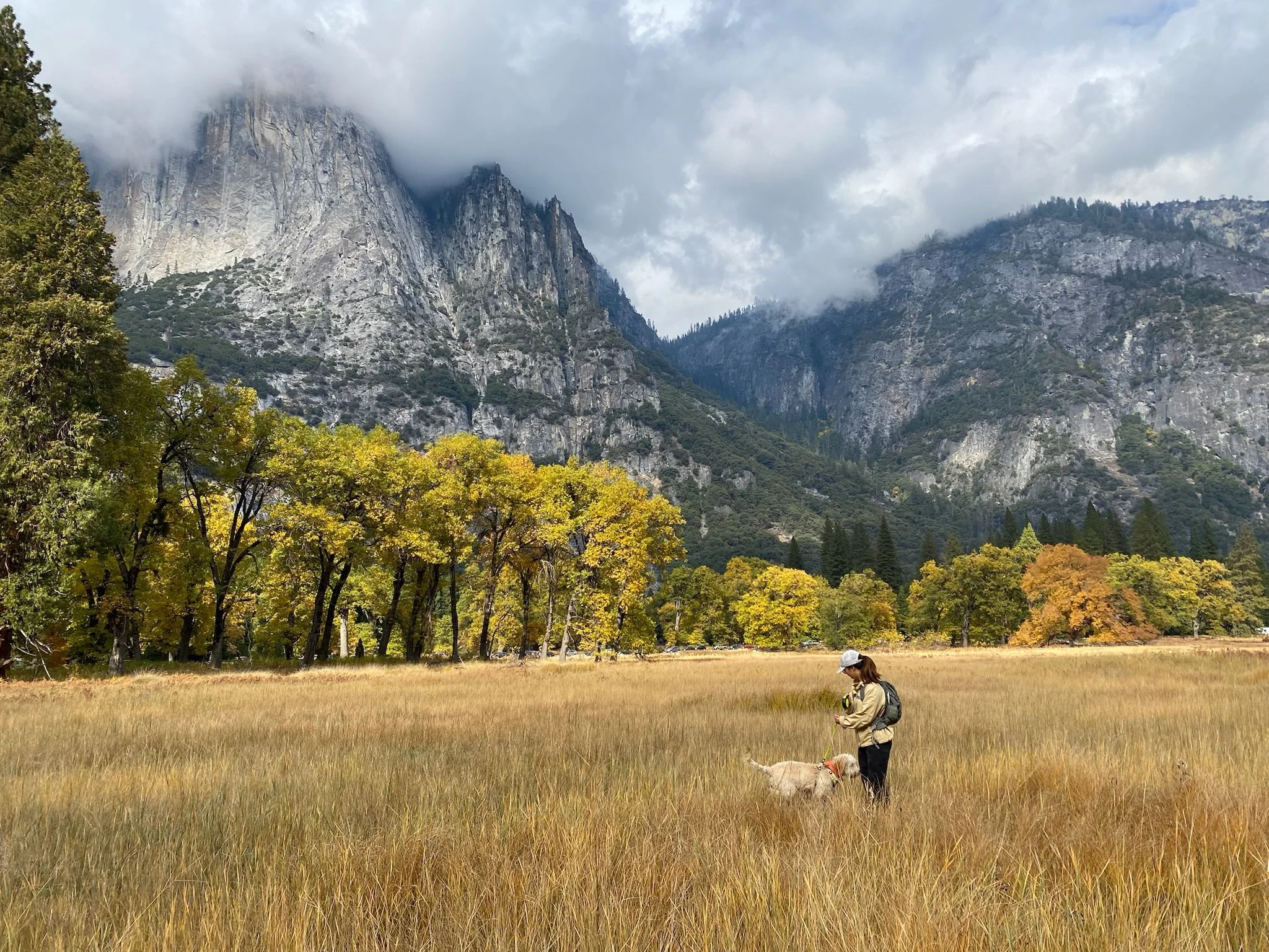 Discovery Call — 30 Minutes