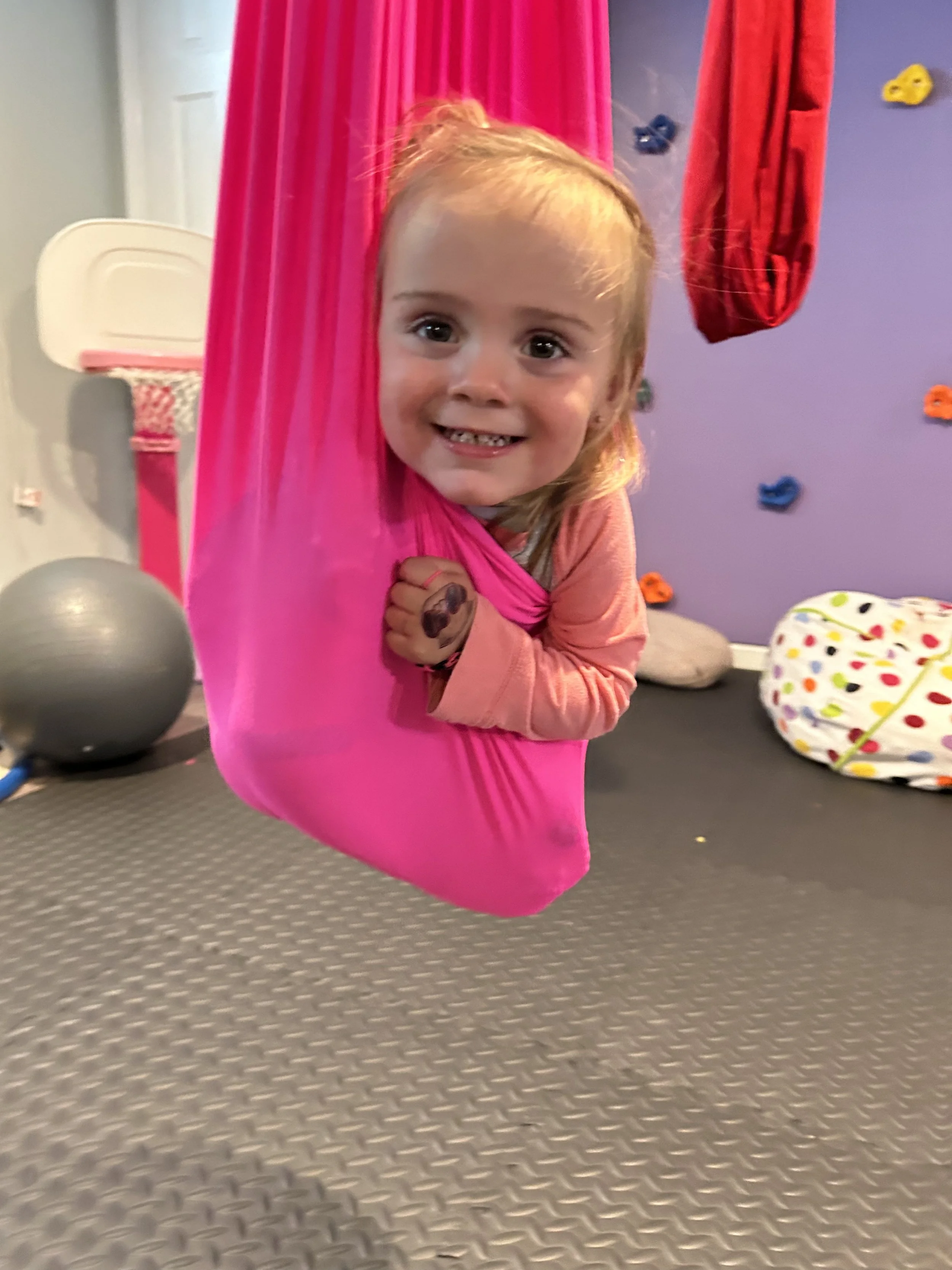 What is Occupational Therapy? 