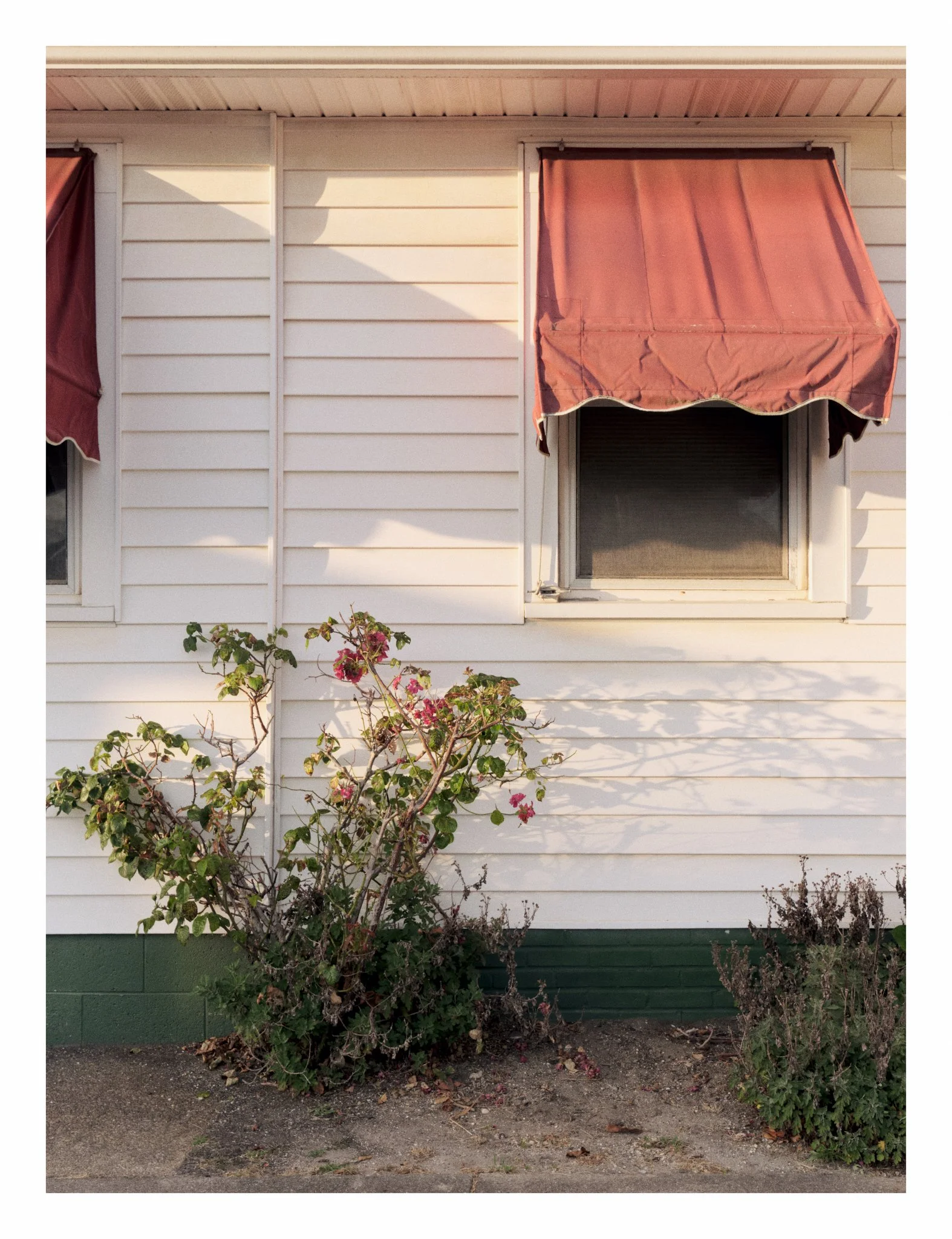 20200619_OCEANCITY_NJ 6.jpg