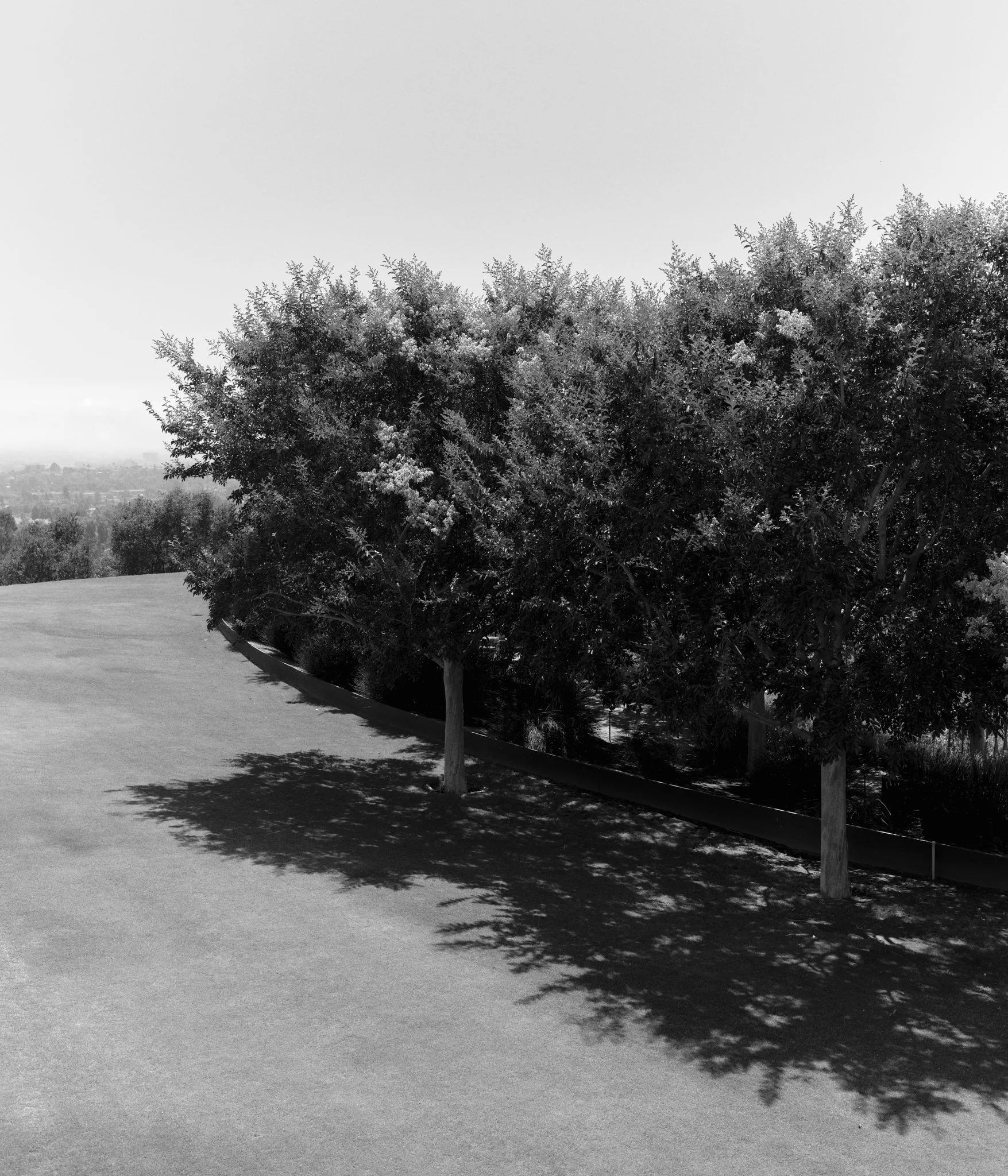 20240903_GETTYCENTER_069.jpg