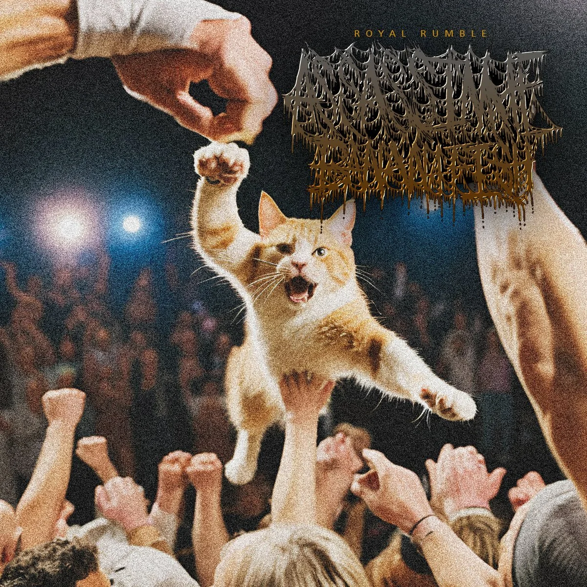 Producer/Mixer/Editor/Mastering